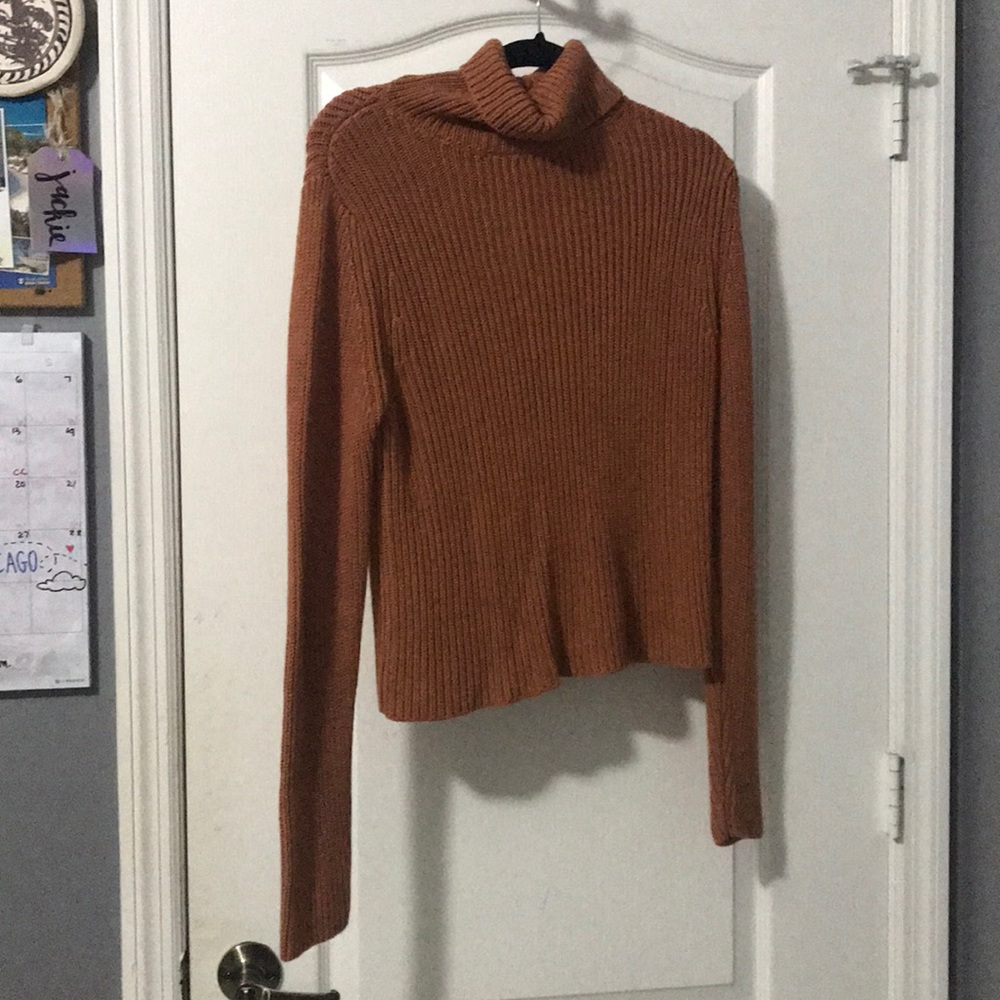 Rust Knit Turtle Neck